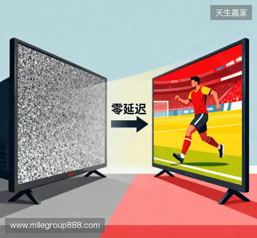 我们的核心竞争力